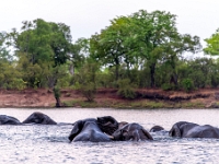 Rzeka Zambezi